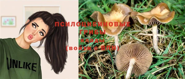 спиды Абаза