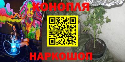 спиды Обь