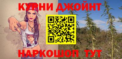 спиды Обь