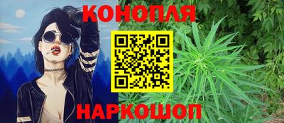 спиды Обь