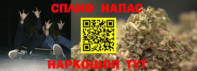 спиды Обь