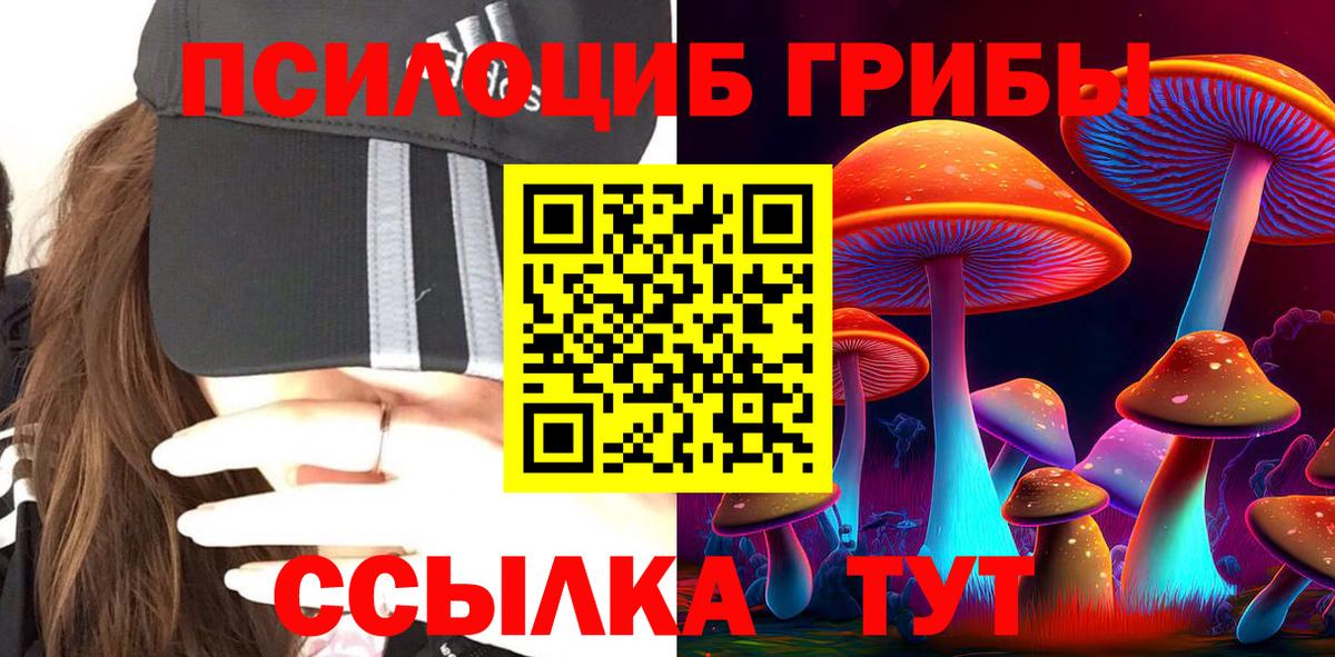 Галлюциногенные грибы Psilocybe Отрадное