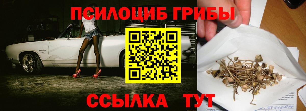 Отрадное  Псилоцибиновые грибы Magic Shrooms  Вход с VPN 