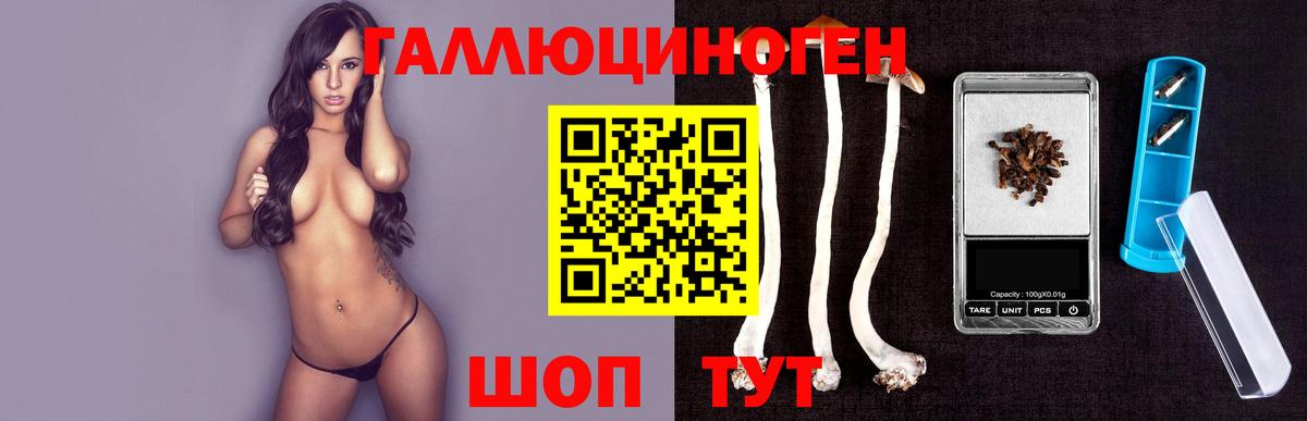 Галлюциногенные грибы GOLDEN TEACHER  Галлюциногенные грибы мухоморы  Отрадное  Вход с VPN 